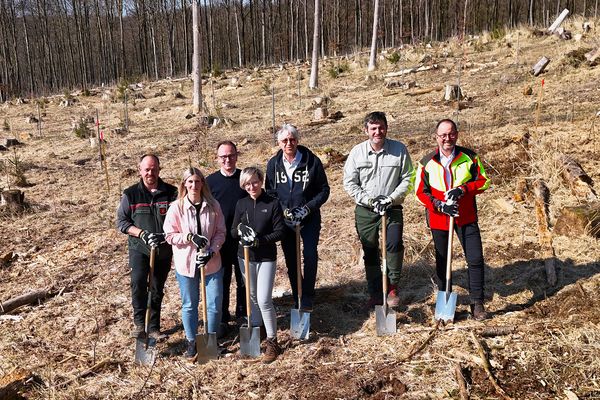 Von links: Jens Tegtmeier (Revierförster), Sarah Riedel (Projektteam Wortmann), Jens Beining (CEO Wortmann-Gruppe), Olga Wedel (Projektteam Wortmann), Andreas Burmeister (Projektteam Wortmann), Christopher Kroos (kommissarischer stellvertretender Leiter Forstabteilung), Jörg Düning-Gast (Verbandsvorsteher Landesverband Lippe). Foto: Landesverband Lippe