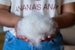 Ananasfasern konnten sich nicht als Lederersatz durchsetzen.