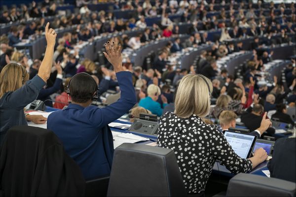Das EU-Parlament hat mit großer Mehrheit für die Verschiebung der EUDR gestimmt.