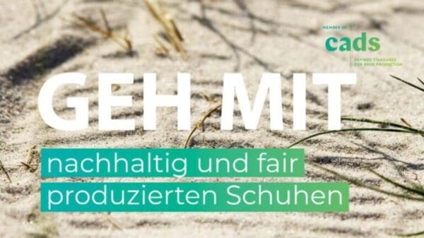 Cads: Strengere Vorgaben für Schadstoffe in Schuhen