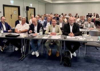 Aufsichtsrat und Plenum.