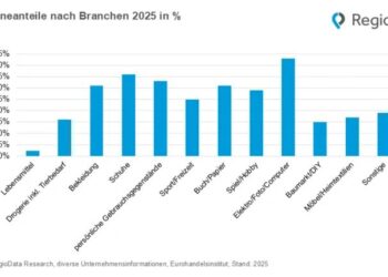 Mehr als jeder dritte Euro für Schuhe fließt in Österreich online